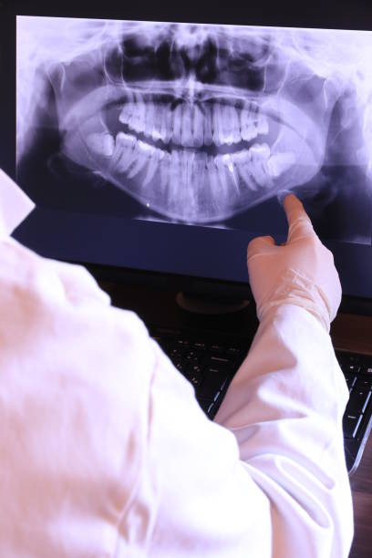 Best Emergency X-Rays and Diagnostics in Circle Pines, MN